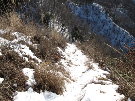 20180126hike (136)
